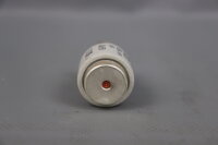 Siemens 25x 5SB431 DIAZED-Sicherungseinsatz 63A 500V gG Unused OVP