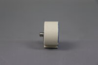 Siemens 5SH315 Passschraube DIAZED DII 20A (25 St&uuml;ck) Unused OVP