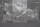 Phoenix Contact D-ST 2,5 Deckel 50xSt&uuml;ck 3030417 V/C:03 Unused OVP