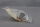 IMI NORGREN QM/31/160/22 Befestigungen f&uuml;r Schalter 3xSt&uuml;ck Sealed