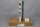 Siemens 6SN1118-0DM11-0AA1 Regeleinschub Digital Ver.D Unused OVP