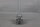 Schmersal AZ/AZM 415-B3 Bet&auml;tiger 1144797 Unused