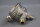Danfoss 068-3346 068Z3346 Expansionsventil R134a -40/+10&deg;C Unused