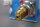 Georgin FP4K Druckschalter 0FP04BKSA0000 13bar -1/5bar Unused