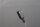 Visolux light barrier ML4-8-KSU-1297/47 Unused