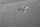 Visolux light barrier ML4-8-KSU-1297/47 Unused