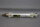 ASCO CI32 NA 100-DM Rundzylinder 43800086 10bar ⌀32mm Hub:100mm Unused