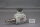 Vogel LS1 Kegelradgetriebe i=2,0 BA30 414160 001 286083 Unused