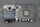 Siemens 6SL3521-1XE40-3AF0 Frequenzumrichter 0,37kW 0,5HP FS:04 RS:DB Unused OVP
