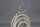 Schmersal ZSD 5 Zustimmschalter ZSD5 250V mit Kabel Used