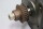 FANUC A06B-0501-B511 Servomotor 2000rpm used