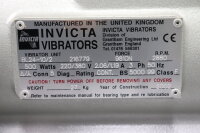 Invicta Vibrators BL24-10/2 R&uuml;ttelmotor...