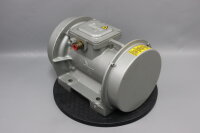 Invicta Vibrators BL24-10/2 R&uuml;ttelmotor Vibrationsmotor 2880 1/min unused