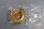 SLF 6004.2ZR.C4.J11.L77F Kugellager Unused OVP